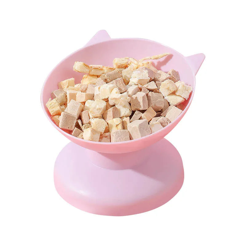 Antidumping Pet Food Bowl