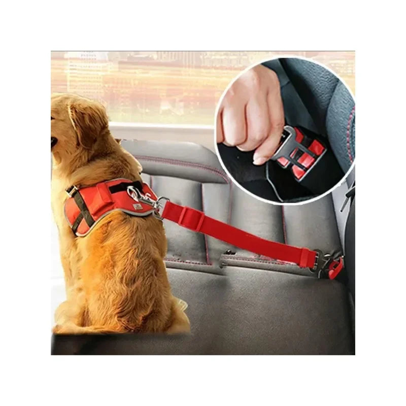 Pet Dog Safety Rope