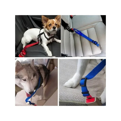 Pet Dog Safety Rope